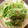 ˚✧₊⁎ゆう˚✧₊⁎'s cooksnap of when they made 簡単！うちの子が大好き水菜の梅マヨ和え♪.