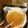 ほもさぴくろまによん's cooksnap of when they made アガーdeグレープフルーツゼリー.