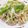 へろへろへ's cooksnap of when they made ねぎ豚焼きうどん.