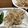yuiyui0405's cooksnap of when they made あと一品は大皿で✿ツナ入り大根サラダ✿.