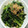 ◯usa◯'s cooksnap of when they made 簡単♡春菊と海苔のさっと炒め♡やみつき.