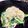 クック0W0Y5Q☆'s cooksnap of when they made 菜の花のぺぺたま.