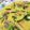 クック6DDPP8☆'s cooksnap of when they made ✿簡単✿ニラ玉ベーコンオムレツ.