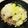 azbjbn's cooksnap of when they made ★越前おろしそば(福井の郷土料理).