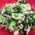 Hanachan13's cooksnap of when they made 簡単やみつき♪チンゲン菜とツナの胡麻和え.