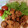 クックVIVDN1☆'s cooksnap of when they made 豚コマで簡単＊＊梅唐揚げ＊＊.