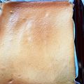 ikueland's cooksnap of when they made 天板ケーキ★牛乳シフォンケーキの生地で.