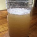 Nilmini's cooksnap of when they made 米のとぎ汁乳酸菌.