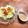 エル♀'s cooksnap of when they made あるもので【簡単】ゴマドレッシング.
