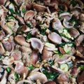 わさびまにあ's cooksnap of when they made 砂肝のガーリック炒め.