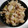 あむらぶ's cooksnap of when they made ご飯がすすむ　豚こまのネギ肉味噌炒め.