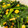 clover55's cooksnap of when they made スイートおひたし☆簡単ほうれん草の茹で方.