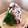 ちゃちゃまる26's cooksnap of when they made しば漬けとひじきのおにぎり.