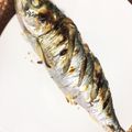 りんむー５５'s cooksnap of when they made 生ニシンの塩焼き.