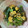 クック1FX93J☆'s cooksnap of when they made 小松菜とちくわの卵とじ.