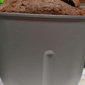 malony's cooksnap of when they made 板チョコ＆ココア食パン（ＨＢ使用）.