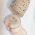 やよい・M's cooksnap of when they made 改良版！簡単！時短！【鶏ハム】.