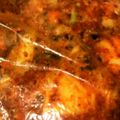 akinbo511's cooksnap of when they made 本格★白菜キムチ.