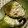 クック1CVYGG☆'s cooksnap of when they made 丸ごとピーマンの肉詰め蒸し焼き.