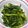 らびDX's cooksnap of when they made 春菊の季節✨春菊とほうれん草の胡麻和え✨.