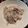 ちゅーりっぷ♪♪'s cooksnap of when they made いかの下処理.