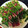 みなCook's cooksnap of when they made うま味倍増！塩漬けマグロのしそ巻き.