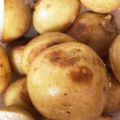 クックBLTENE☆'s cooksnap of when they made ガリバタソースで！男の新じゃが炒め.