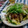 oimo37oimo's cooksnap of when they made なすとキャベツのしょうが炒め.