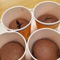 ひろむんじゃー's cooksnap of when they made 濃厚チョコマフィンケーキ.