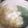 クック083103☆'s cooksnap of when they made さっぱり！我が家の冬の鶏鍋.