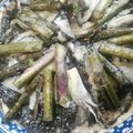ふぁんたにゃん's cooksnap of when they made 余ったトルティーヤの皮.