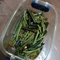 まん丸みかリン's cooksnap of when they made わらびの生姜醤油和え.