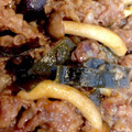 やよい・M's cooksnap of when they made 牛肉と刻み昆布の炒め物.