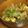 クックZ8J4H4☆'s cooksnap of when they made レタス、ベーコン、卵、炒め.