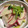 けんよこ's cooksnap of when they made 赤大根とほうれん草のサラダ　クリスマス風.