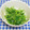 ととろ＆めい's cooksnap of when they made 豆苗だけ☆白だしとマヨネーズで.