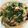 クックTCYRYT☆'s cooksnap of when they made ふきのとうとベーコンのパスタ.
