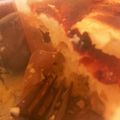♡ねぎ油♡'s cooksnap of when they made ダイエット♡りんごのおからケーキ.
