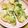 メルティローズ's cooksnap of when they made 豆腐と米粉でチヂミ風.