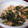 tamiko54's cooksnap of when they made ふきの葉と炒り卵のしっとりふりかけ.