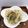 まこさんど's cooksnap of when they made 新玉ねぎとツナのサラダ.