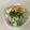 papikun's cooksnap of when they made 簡単ねぎたま丼.
