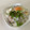 papikun's cooksnap of when they made 簡単ねぎたま丼.