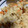 67luna's cooksnap of when they made 我が家の炊き込みご飯.