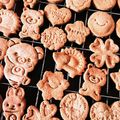 碧、花嫁修業中。's cooksnap of when they made ☆基本のビスケット☆全粒粉でサクサク♪.