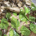 わたるんママ's cooksnap of when they made 便利♫舞茸の冷凍保存.