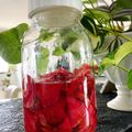 charru's cooksnap of when they made 紫大根（紅しぐれ大根）の甘酢漬け.