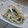 おんかめ's cooksnap of when they made うどのみそマヨあえ～しそ風味.