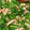 pichico😆's cooksnap of when they made 歯ごたえシャッキリ！菜の花のニンニク炒め.