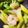 クックAVZIQB☆'s cooksnap of when they made プリプリえびの中華炒め.